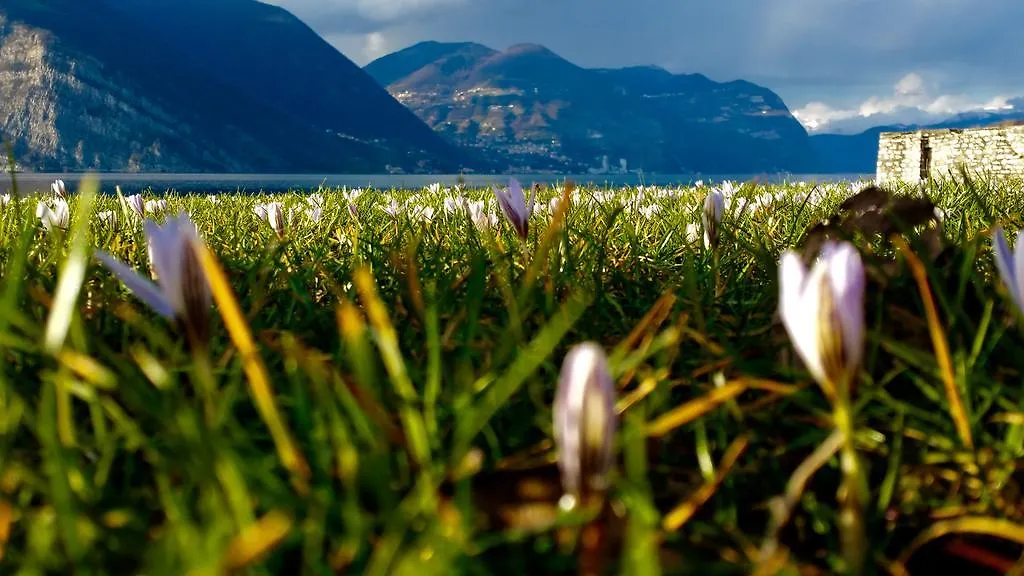 Camping Pilzone Iseo Italy