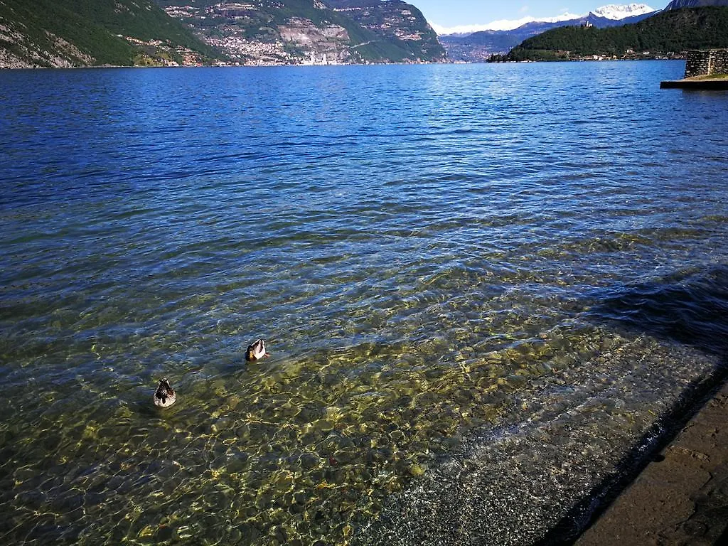 Campsite Camping Pilzone Iseo